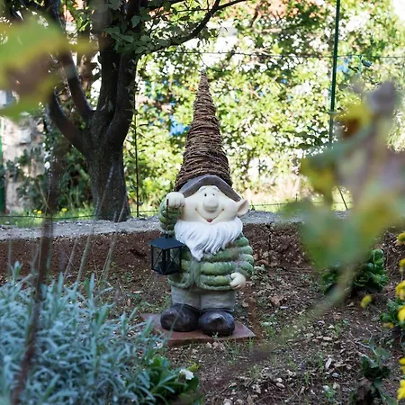 בית נופש House Viki פוסטיר